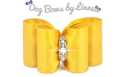 Classic Satin Yellow Gold