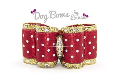 Red Satin Swiss Dot