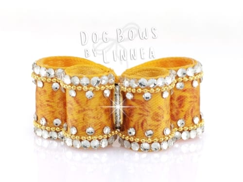 Puppy ~ Dark Goldvalley Dazzle